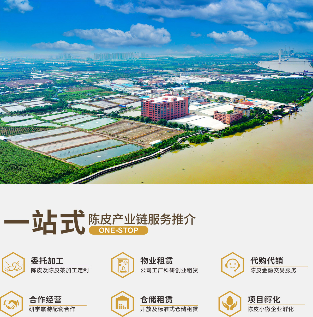 中仁堂投资十亿元 新会陈皮全产业链与企业孵化引领产业新局
